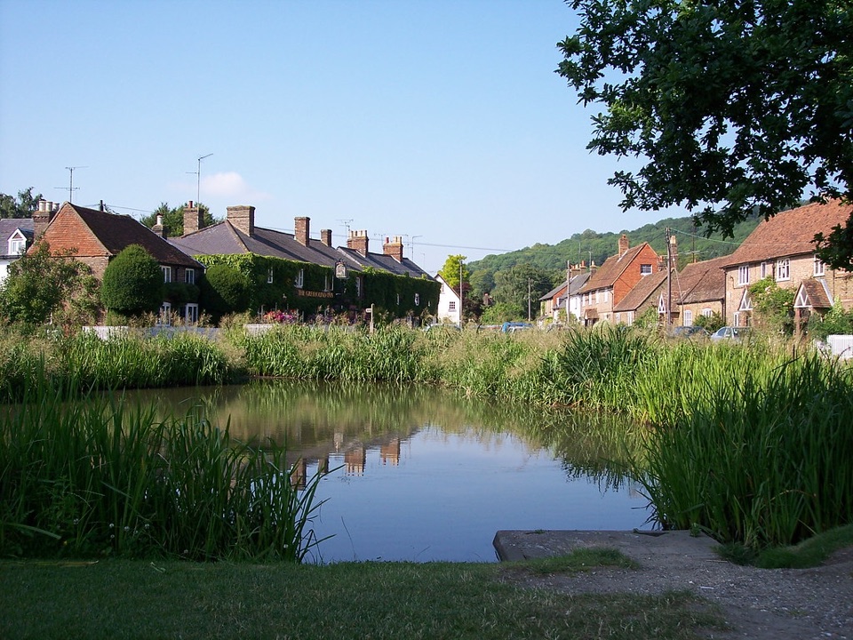 Houses and gardens behind the village pond at Aldbury in Hertfordshire